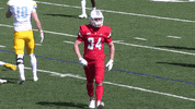 Excited Lets Go GIF by GoDuquesne