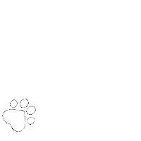Cat Dog Sticker