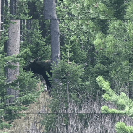corycarnleygainesville giphygifmaker giphyattribution GIF