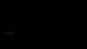 Las Vegas Casino GIF by NETFLIX