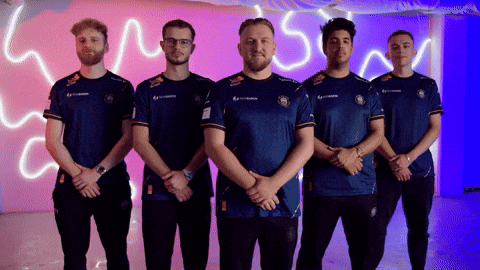 Team Fall GIF by BLAST