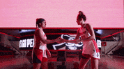 Letsgopeay Governors GIF by Austin Peay Athletics