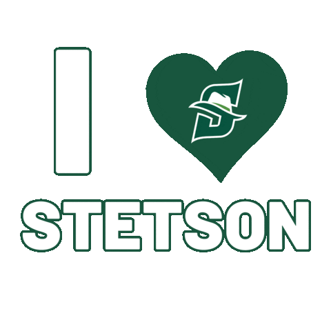 Valentines Day Sticker by Stetson University