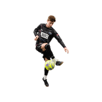 Riseasone Sticker by St. Louis Ambush