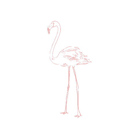 dogoodbeauty giphygifmaker flamingo boutique do good beauty Sticker