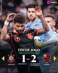 Flamengo Vs Corinthians GIF