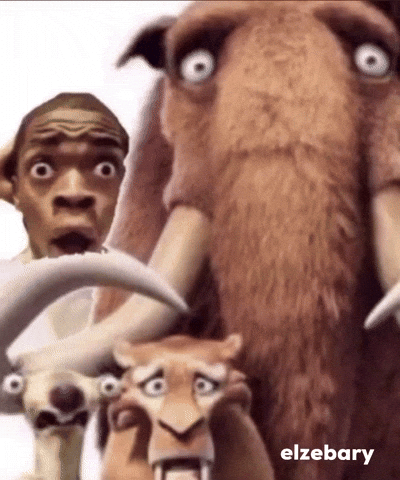 Shock Shocked Face GIF