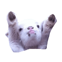 goat STICKER by imoji
