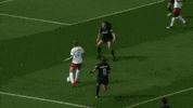 WashingtonSpirit goal score nwsl washington spirit GIF