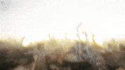 Side Effects Party GIF by D-Block Europe