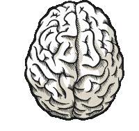 ehv-fernstudium think smart brain clever Sticker