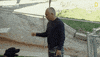 Cesar Millan Dog GIF by National Geographic Channel
