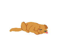 Dog Revealing Sticker by zandraart