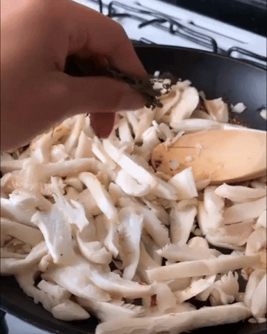 mariaorsini giphyupload GIF
