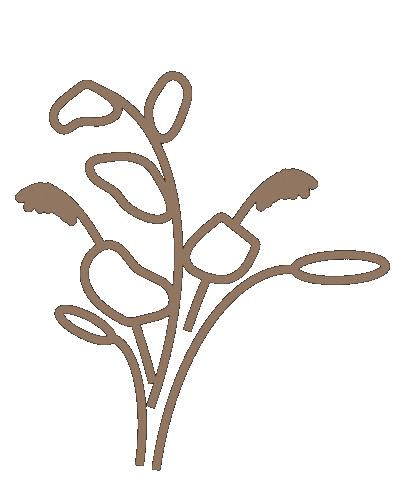 Flower Home Sticker