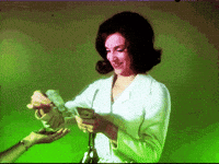 Money Cash GIF