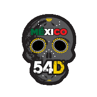 54D_MIAMI mexico training train discipline Sticker