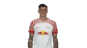 Oh No Scratch Sticker by Bundesliga