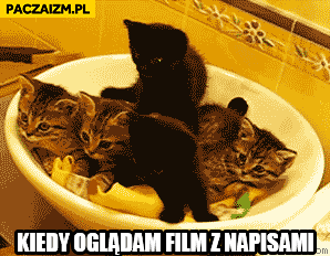 Film Z GIF