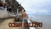 Water Beach GIF by MrMoonMission