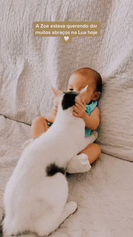cuteanimalland giphyupload GIF