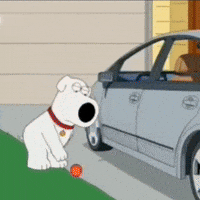 Family Guy Funny GIF
