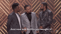 Netflix Just Bought It!