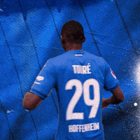Sport Bundesliga GIF by TSG Hoffenheim