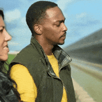 Anthony Mackie GIF