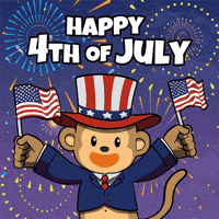 Happy Usa GIF by Wise Monkey Meme