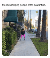 ComedianHollyLogan meme 2020 help covid GIF