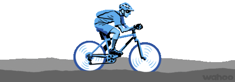 cycling roam Sticker by Wahoo Fitness