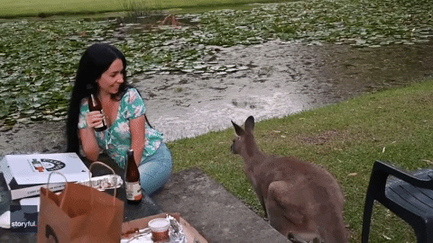 Funny Animals Picnic GIF by Storyful