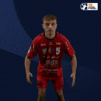 Handball GIF by DAIKIN HBL
