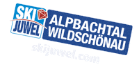 Winter Alps Sticker by Ski Juwel Alpbachtal Wildschönau