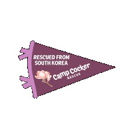 Campcocker2025 Sticker by Camp Cocker Rescue