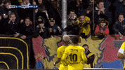 GIF by FOX Sports