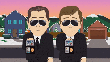 Your Pinewood Derby Car