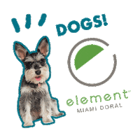Dogs Element Sticker by ElementMiamiDoral