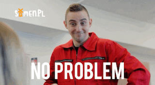 samenpl ok polska no problem mechanic GIF