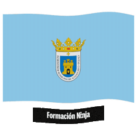 Bandera Cascante Sticker by Formación Ninja