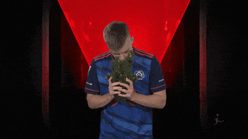 Happy Christmas Tree GIF by Bundesliga
