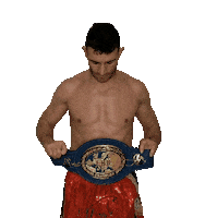 Knockout Fighting Sticker by Matteo Signani - Il Giaguaro