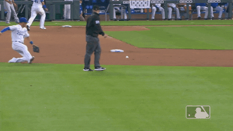 Major League Baseball Sport GIF by MLB