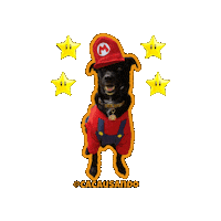 Happy Super Mario Bros Sticker