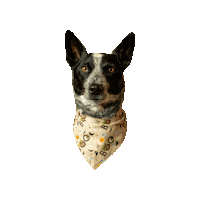 Baby Boo Sticker by Geekster Pets