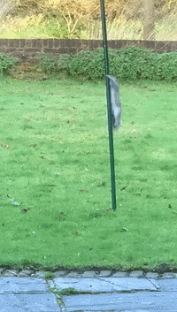 Mood Fails GIF by JustViral