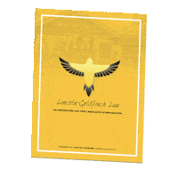 News Ice Sticker by Lincoln Goldfinch Law