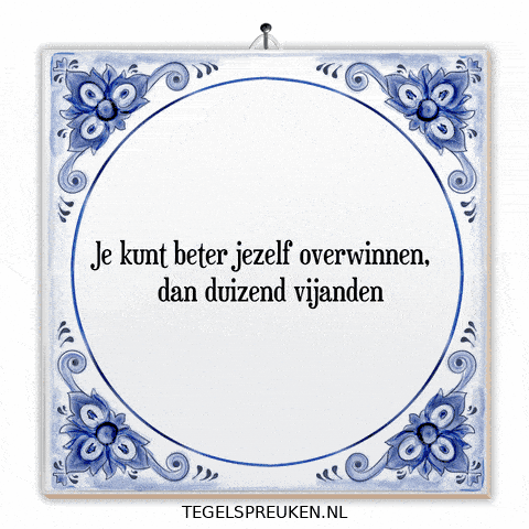 Humor Nl GIF by Tegelspreuken.nl