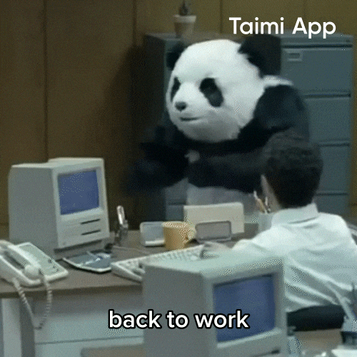 Panda Back To Work GIF by Taimi